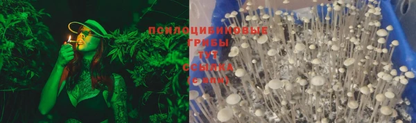 mix Мегион