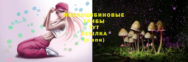 твердый Медвежьегорск