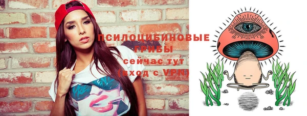 эйфоретик Медногорск