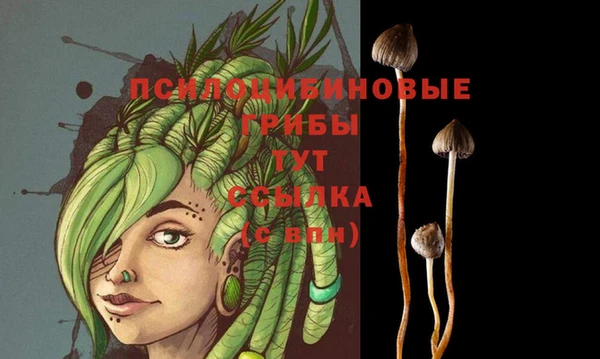 эйфоретик Медногорск