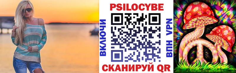 где купить наркоту  Бердск  Псилоцибиновые грибы GOLDEN TEACHER 